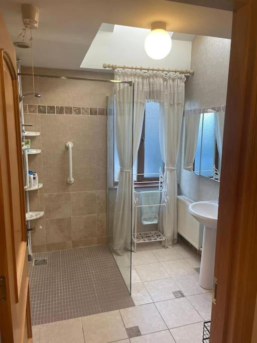 Borodino Studio Apartment Enniscorthy Dış mekan fotoğraf