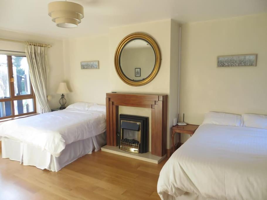 Borodino Studio Apartment Enniscorthy Dış mekan fotoğraf